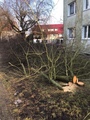 Zdjęcie 5