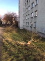 Zdjęcie 1