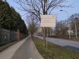 Zdjęcie 7