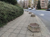 zdjęcie 5