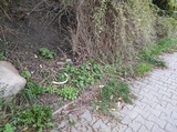 zdjęcie 9