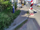 zdjęcie 1