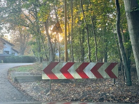 Zdjęcie 1