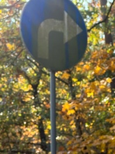 Zdjęcie 5